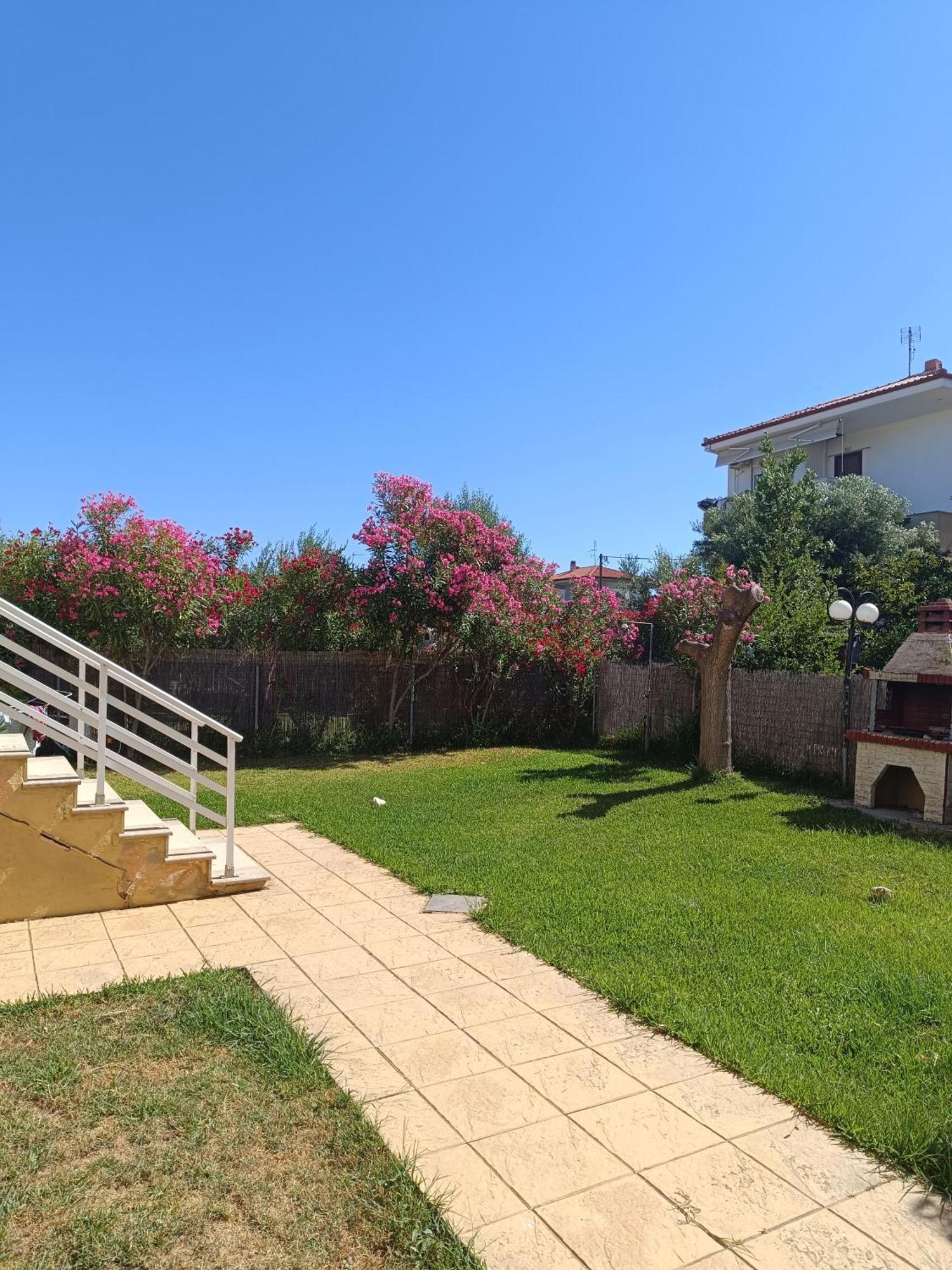 Dimar1 Seaside Apartment Паралия-Дионисиу Экстерьер фото